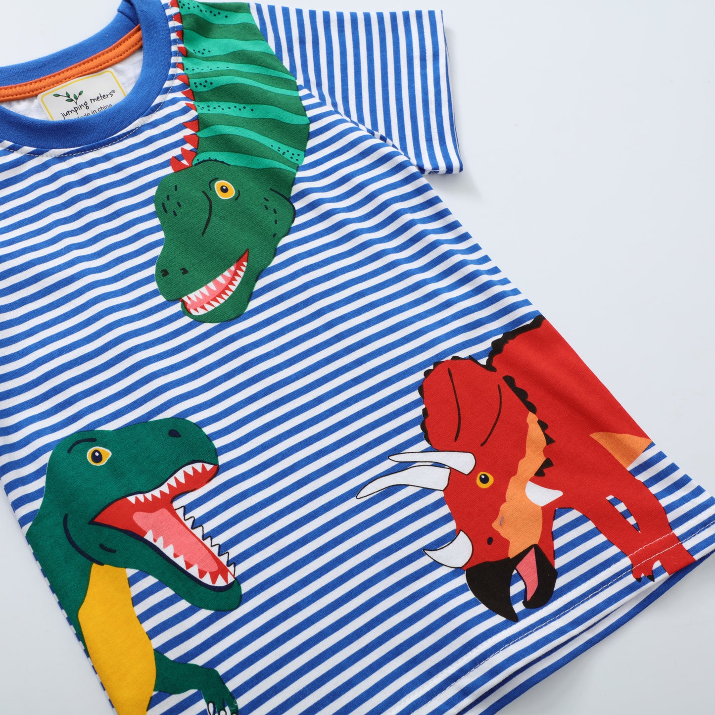 Boys Dinosaur Short Sleeve T-Shirt